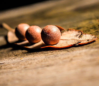 网页版短信攻击