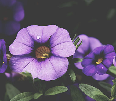 价格最低的在线手机号轰炸机